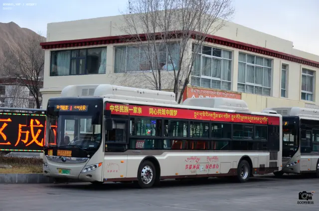800BUS