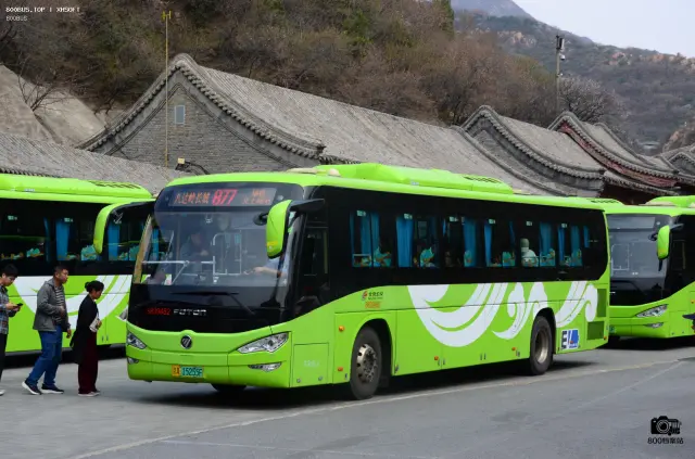 800BUS