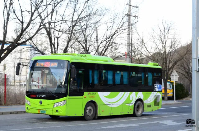 800BUS