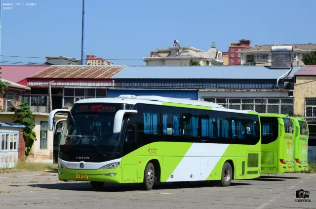 800BUS