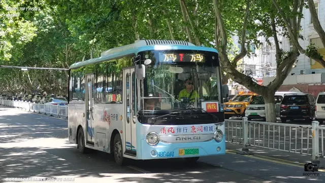 皖F 08258D
