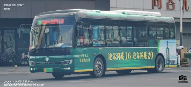 皖F 00261D