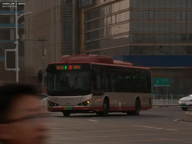800BUS
