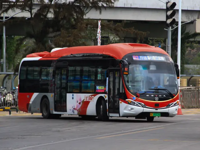 800BUS