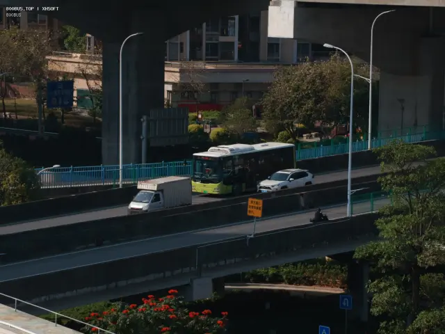 800BUS