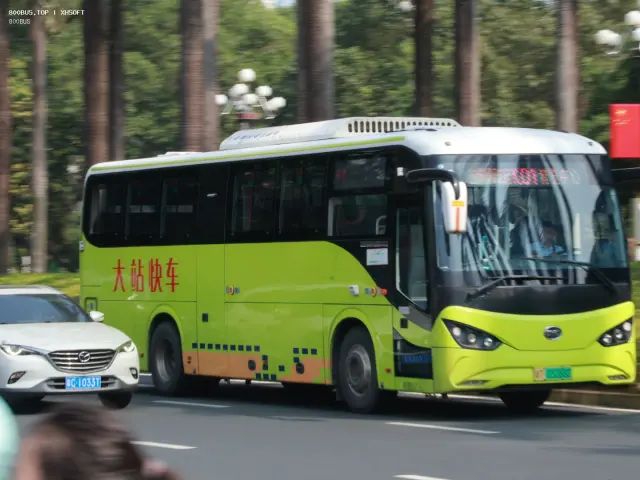 800BUS