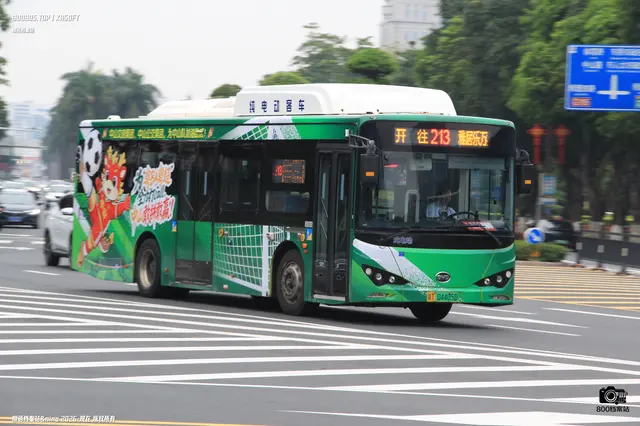 800BUS