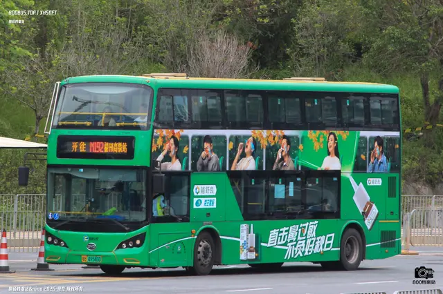 800BUS
