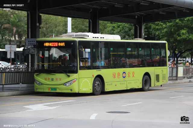 粤T 06208D