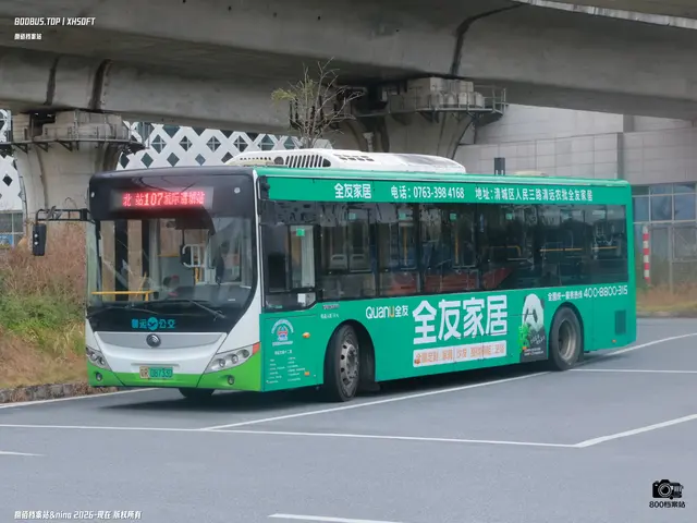 粤R 08733D