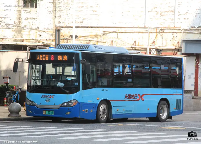 800BUS