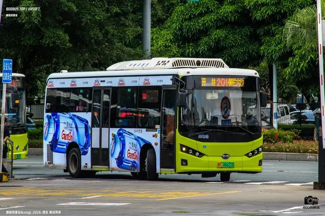 800BUS