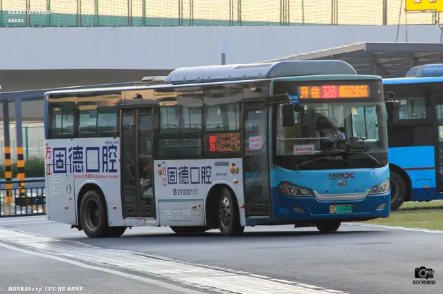 800BUS