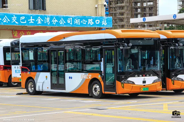粤C 00109D