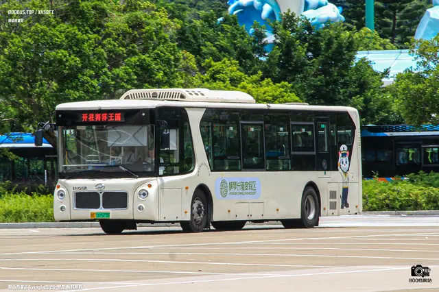 粤C 02523D