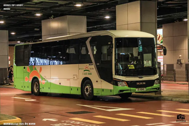 ZD 6040