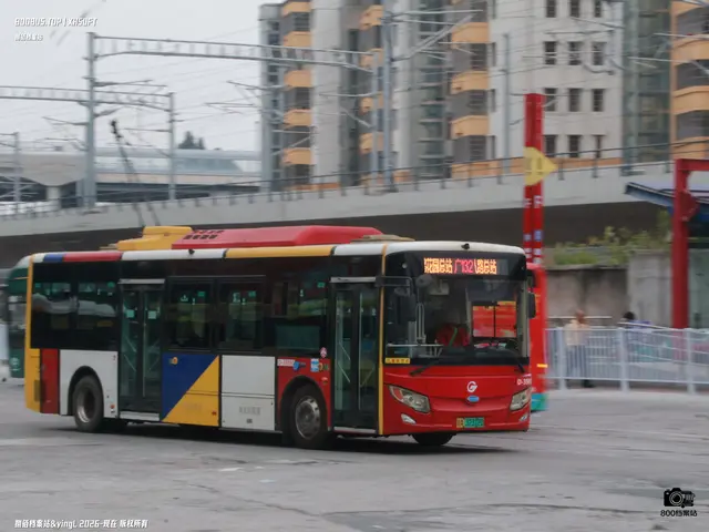 粤A 32312D