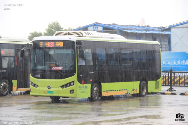 粤T 06602D