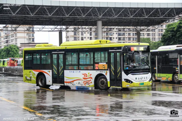 粤E 01266D