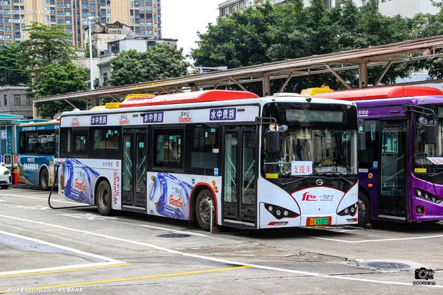 粤A 03167D