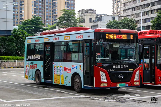 800BUS