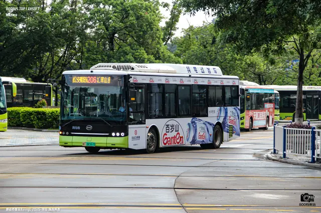 粤T 06567D