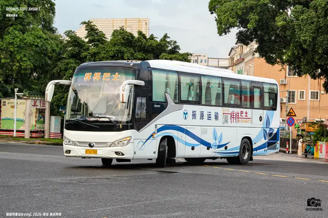 粤T 61743