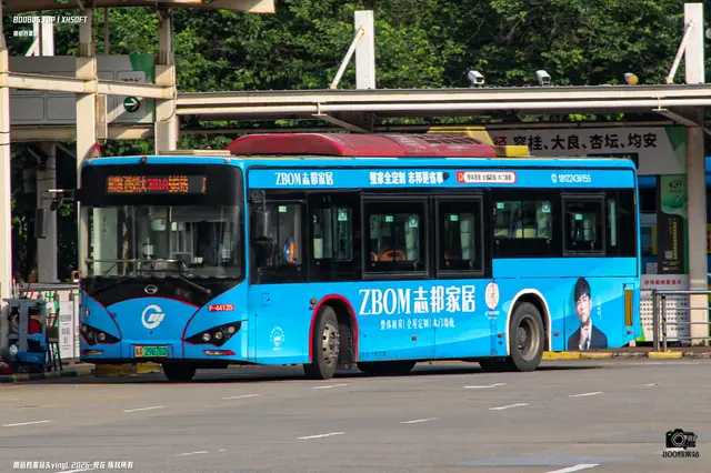 粤A 29876D