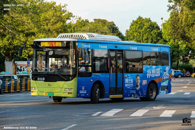 粤T 01517D