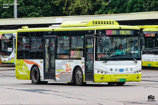 800BUS