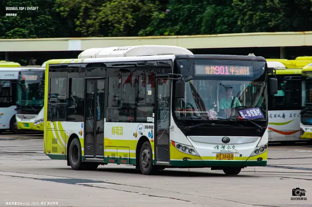 800BUS