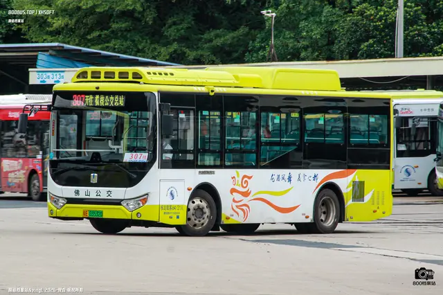 800BUS