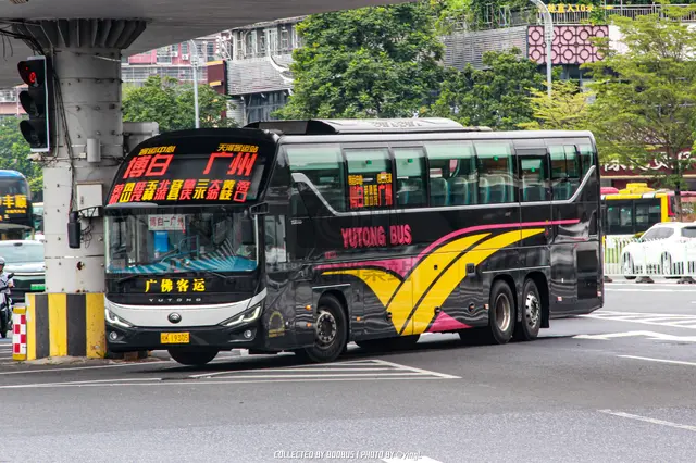桂K 19305