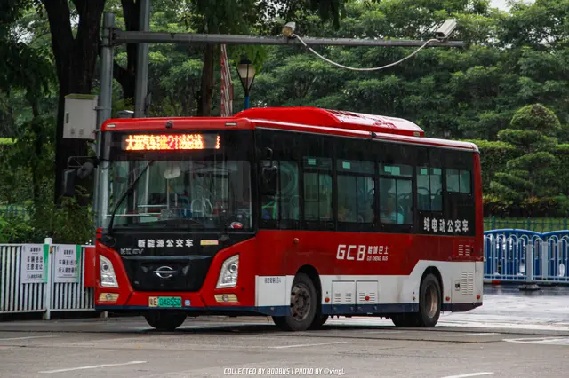 粤E 04855D