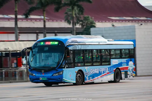 粤C 02990D