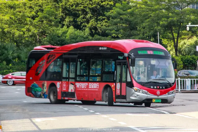 粤C 00524D