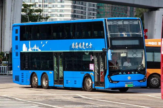 粤C 08319D