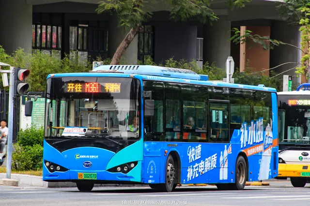800BUS