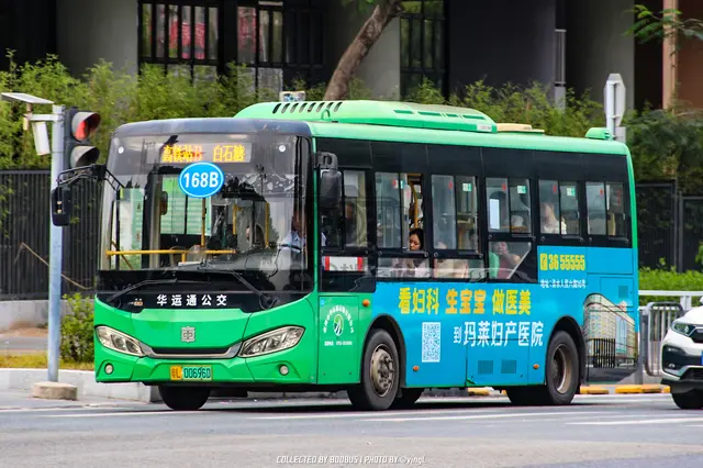 800BUS