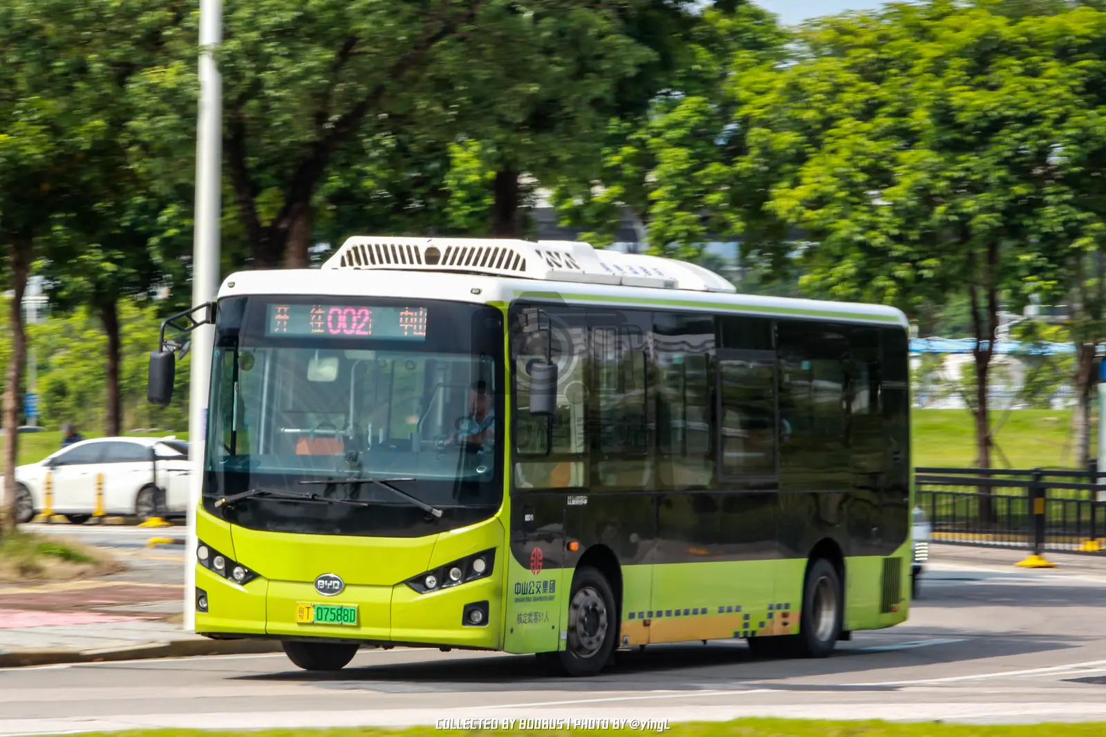 Bus Archive