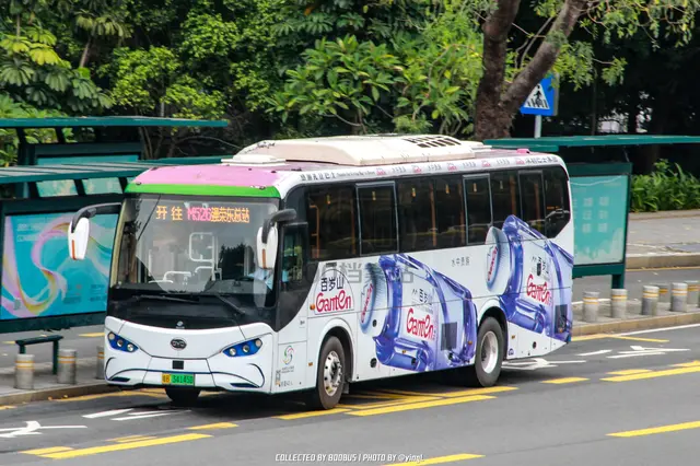 粤B 34145D
