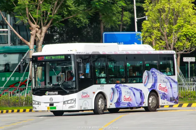 粤B 84210D