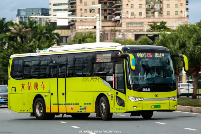 粤T 03882D