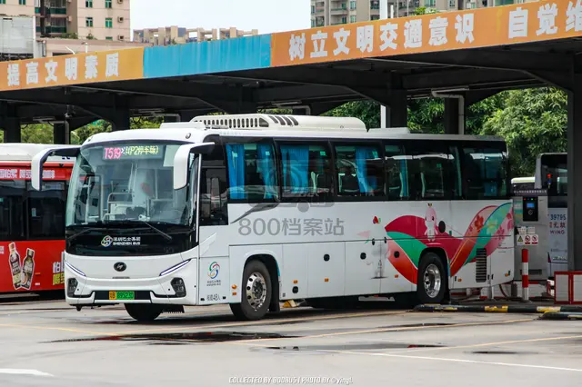 粤B 89523D