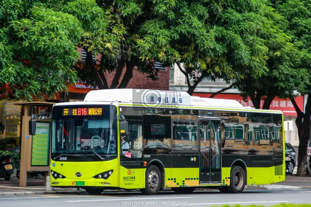 粤T 07767D