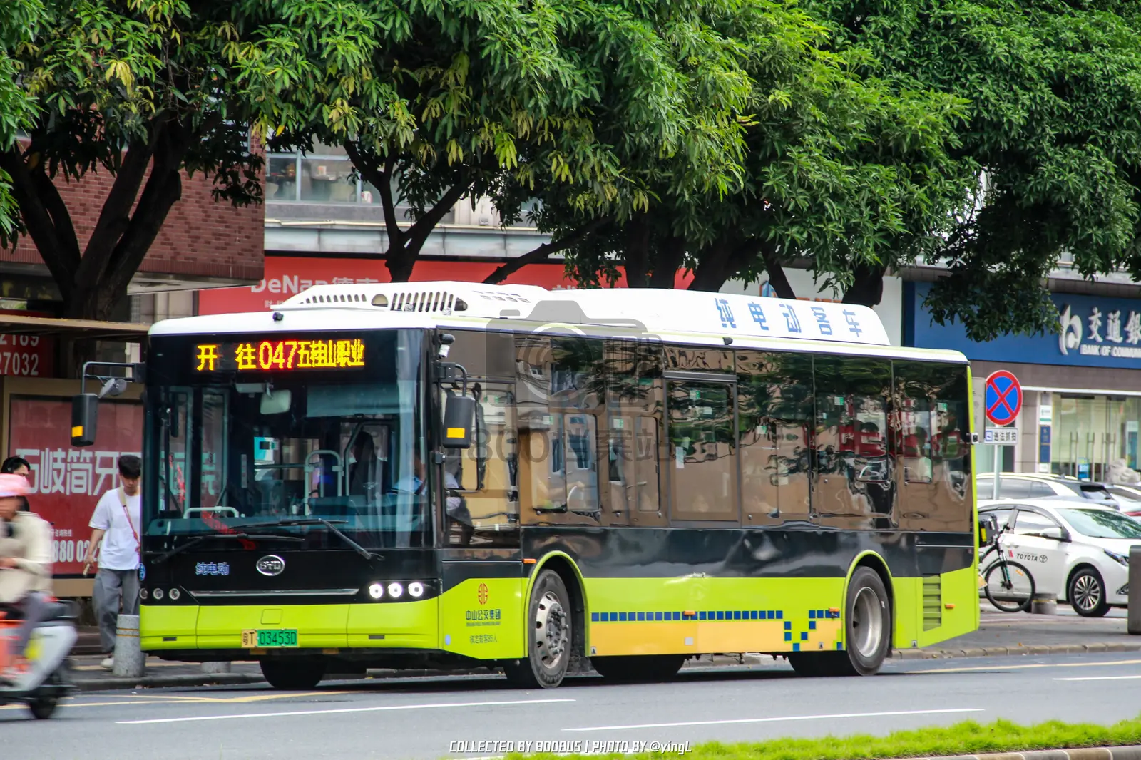 Bus Archive