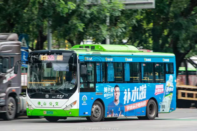 800BUS