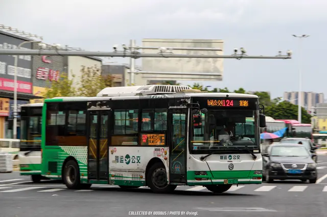 粤E 06567D