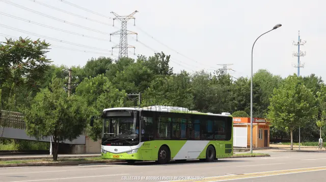 800BUS