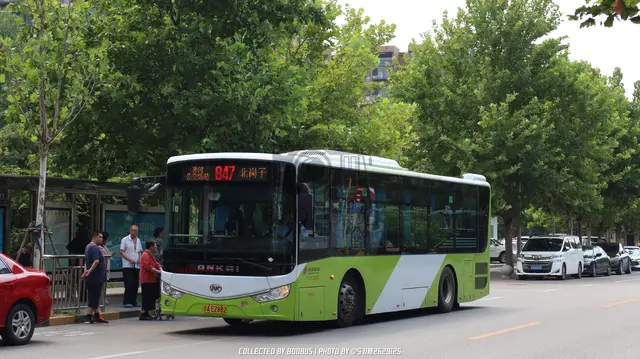 800BUS